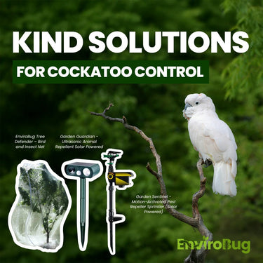 Cockatoo Deterrents and Repellents: Eco-Friendly Bird Control Solutions image